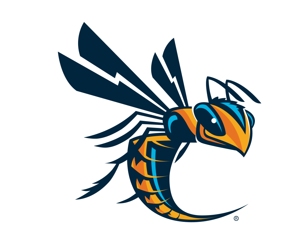 Cedarville Baseball Camps